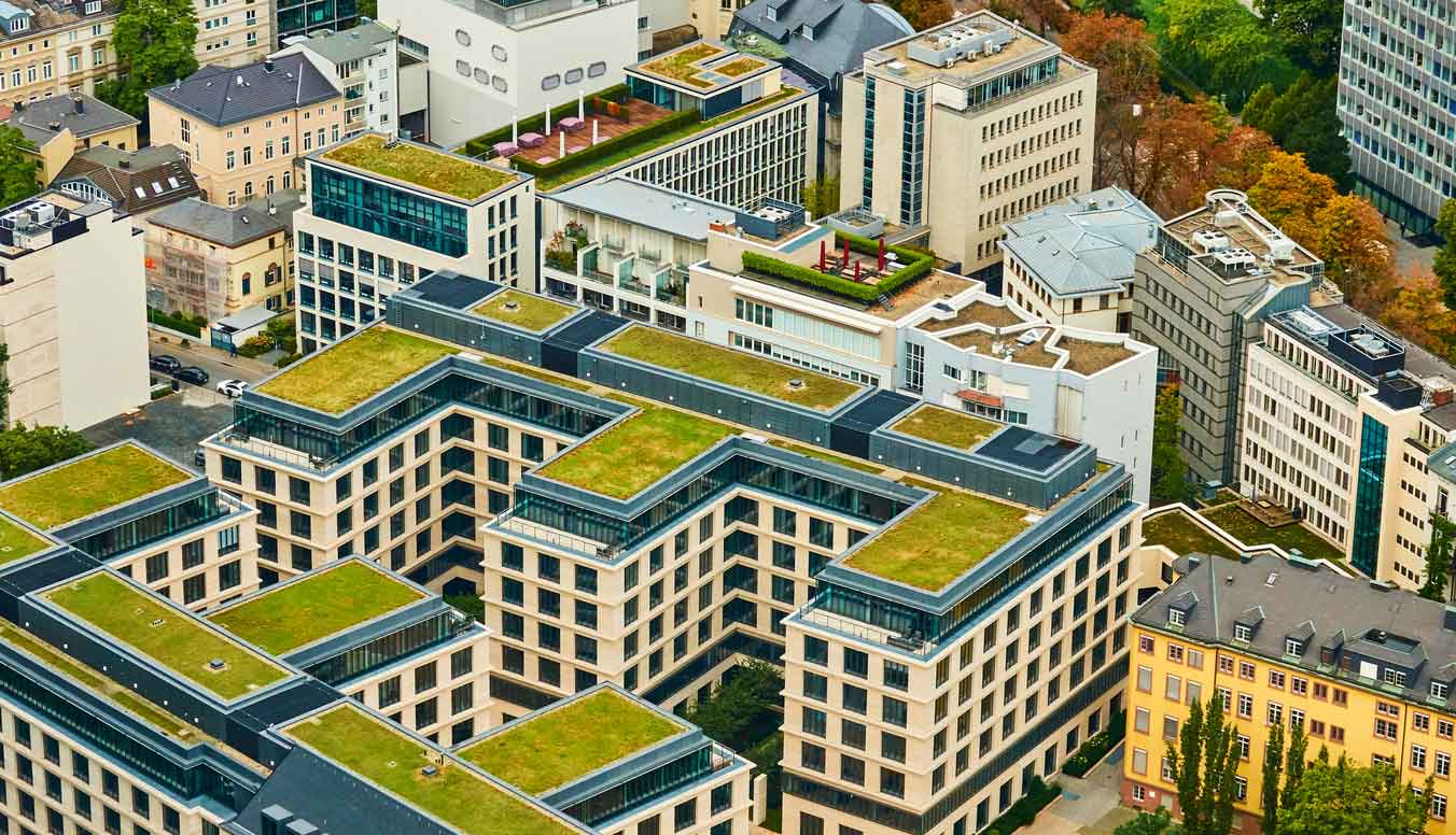 Le città dall'alto appaiono sempre più verdi grazie ai green roof, tetti verdi ricoperti di piante che rinfrescano gli edifici.