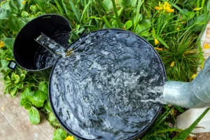 La raccolta dell’acqua piovana limita il proprio peso sul sistema idrico e rende indipendenti per gran parte degli utilizzi.