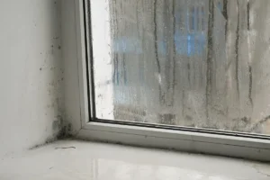 Umidità e muffa non sono inquiline desiderate in casa e vanno debellate a ogni costo per tutelare la salute dell’edificio e delle persone.