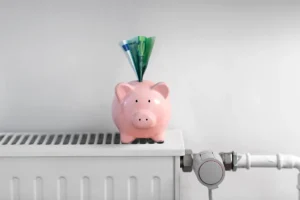 Abbatti le spese e contribuisci alla transizione ecologica impegnandoti a ridurre i consumi energetici in casa.