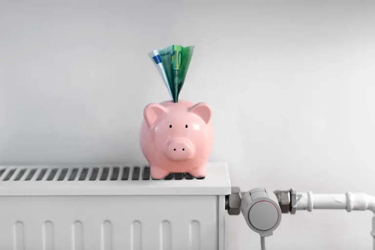 Abbatti le spese e contribuisci alla transizione ecologica impegnandoti a ridurre i consumi energetici in casa.